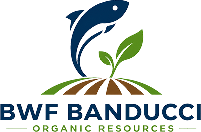 BWF Banducci Inc